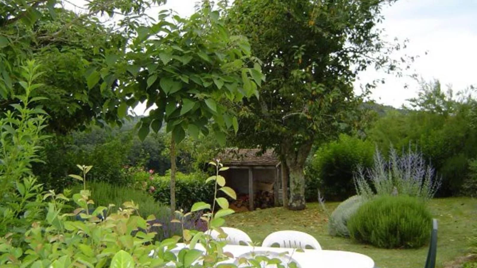 Tournesol-Gardens summer