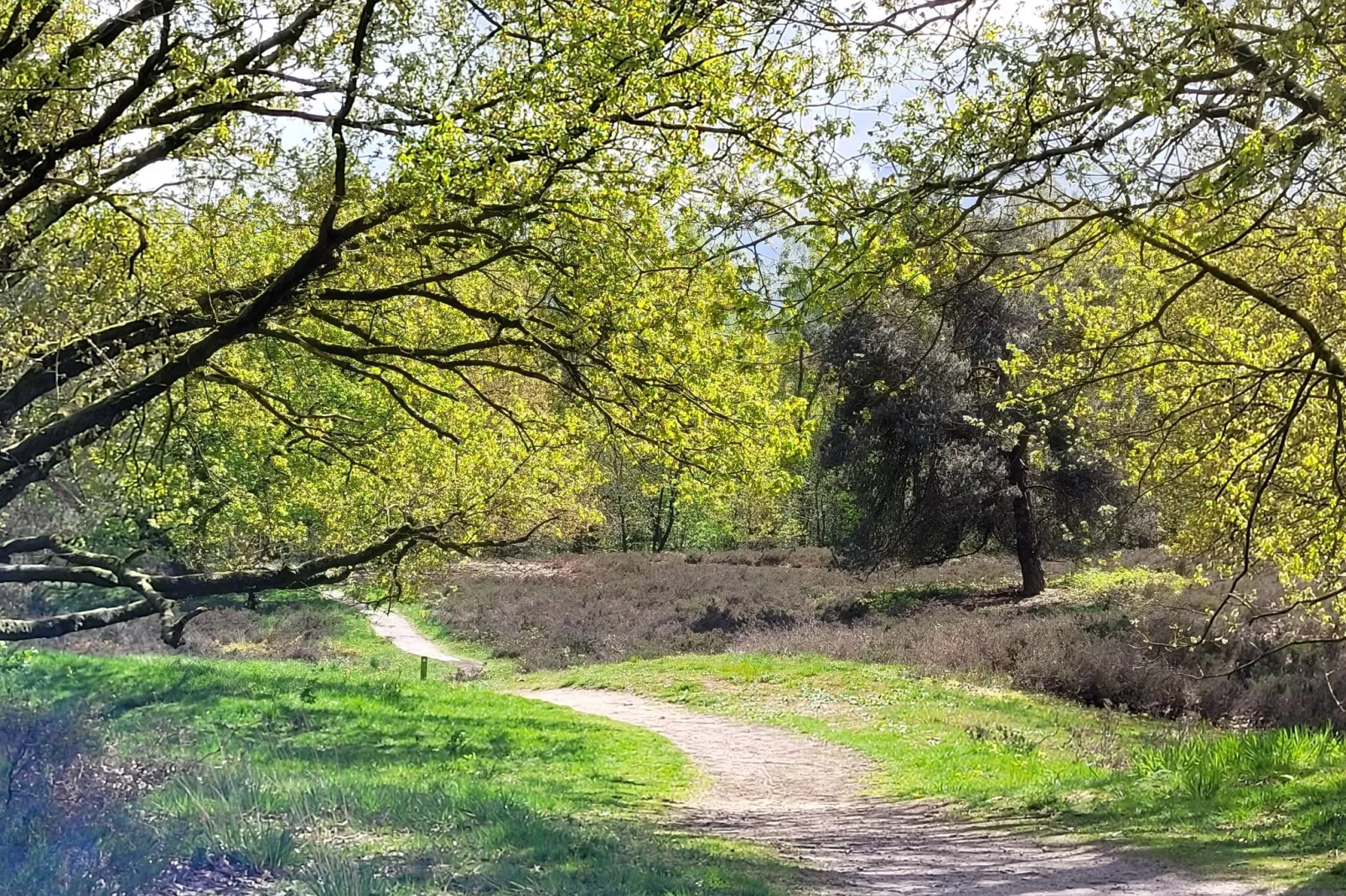 B&B Overloon 4 Personen-Gebiete Sommer 5 km