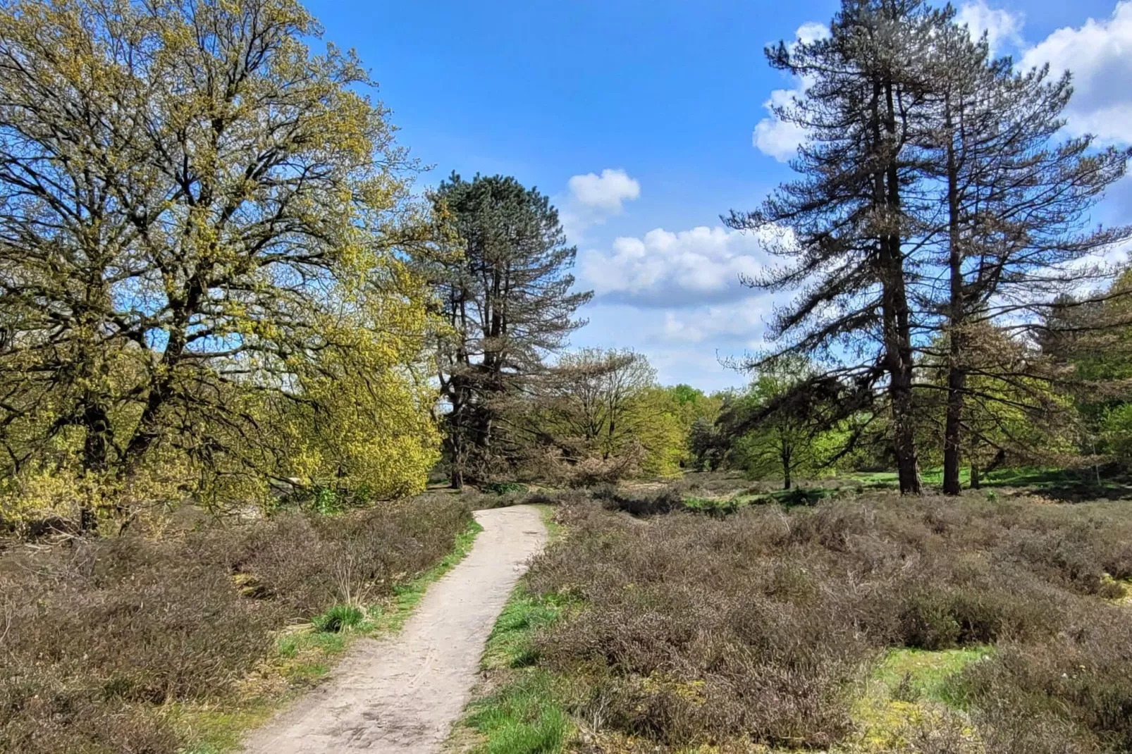 B&B Overloon 4 Personen-Gebiete Sommer 5 km