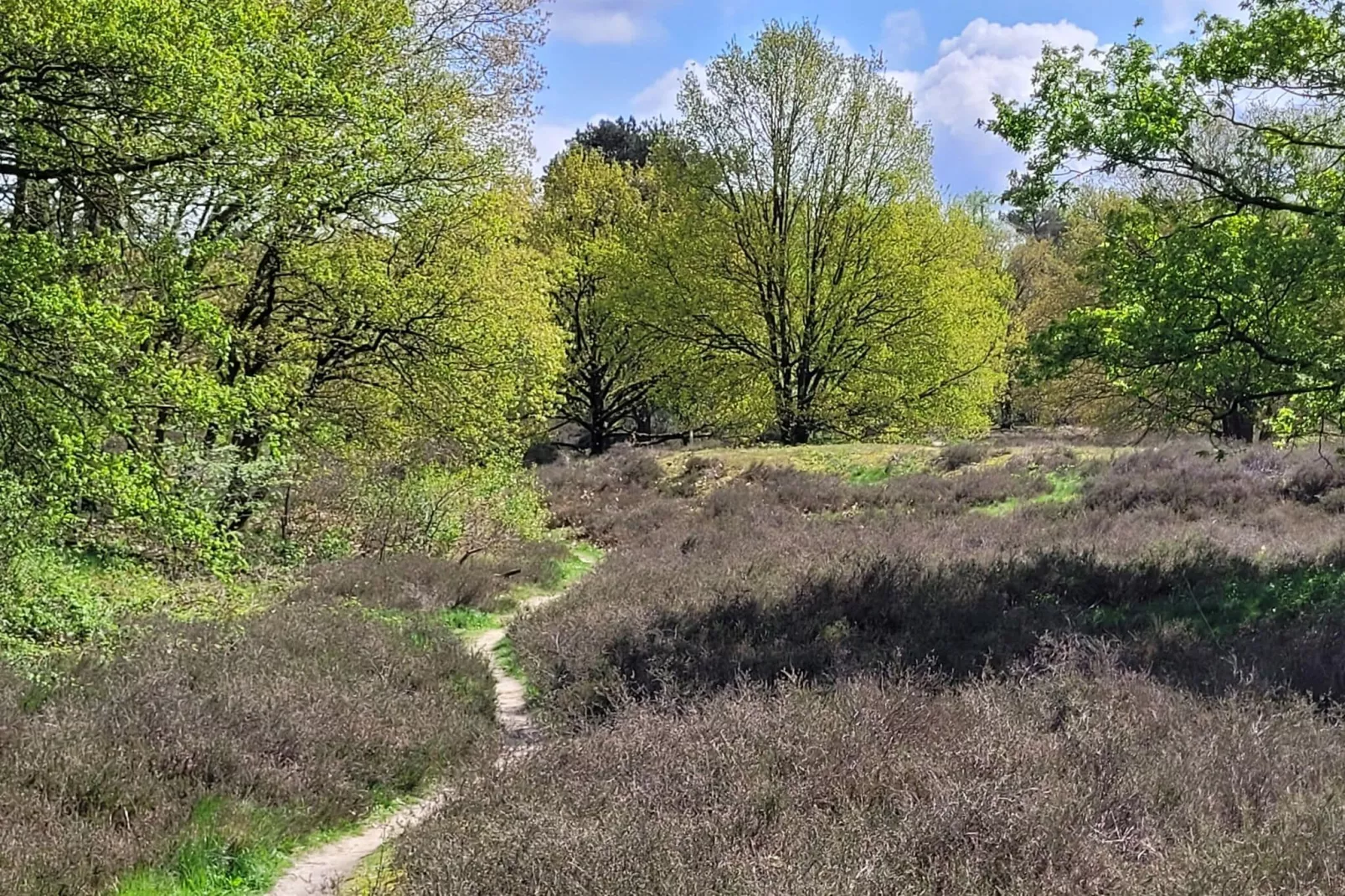 B&B Overloon 2 Personen-Areas summer 1km