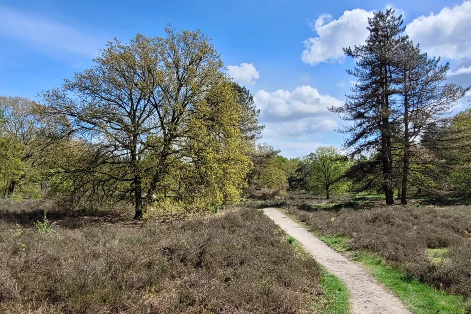 B&B Overloon 2 Personen-Areas summer 5km