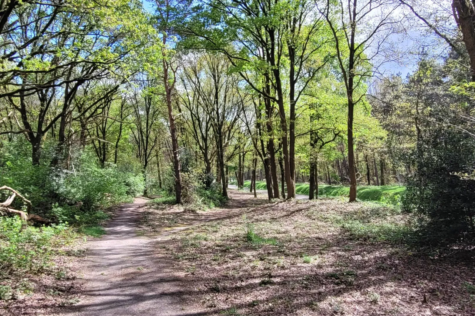 B&B Overloon 2 Personen-Areas summer 5km