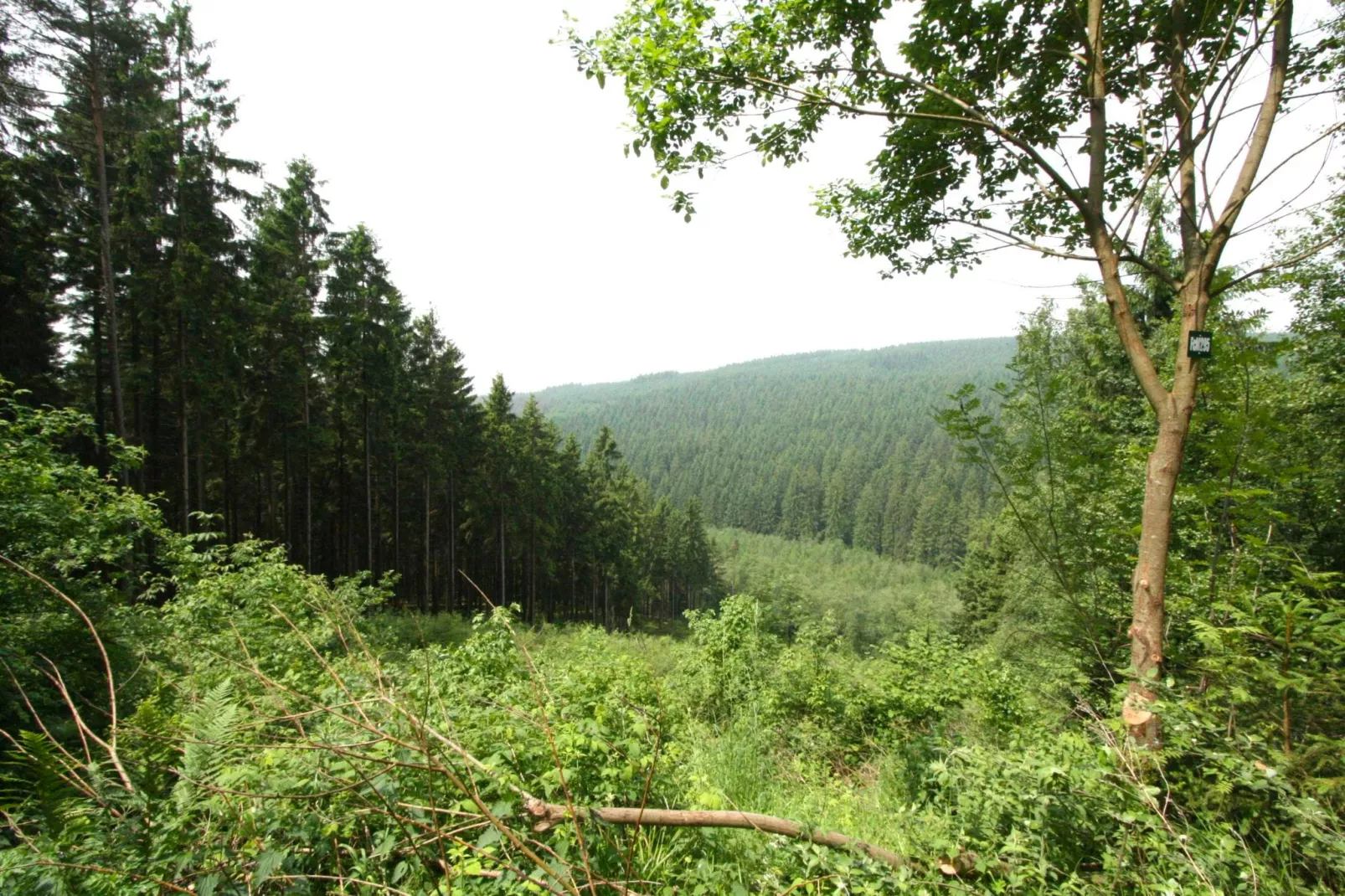 Ol Vich Périr-Areas summer 1km