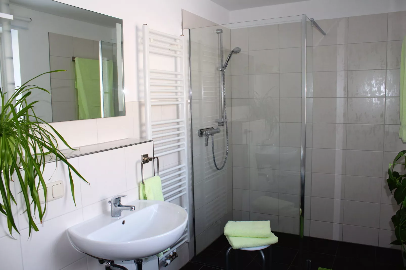 Pfaffenstein-Bathroom