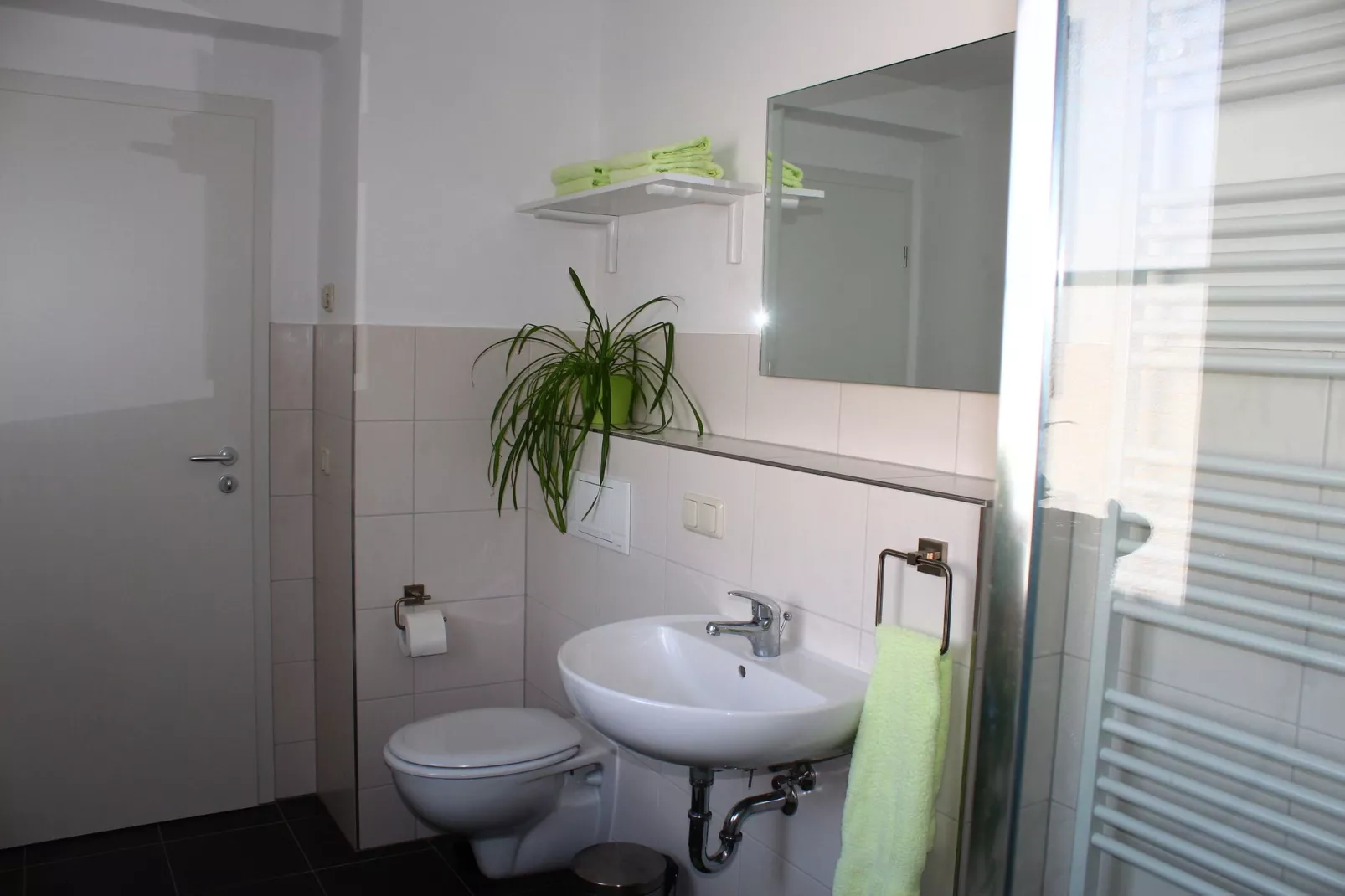 Pfaffenstein-Bathroom