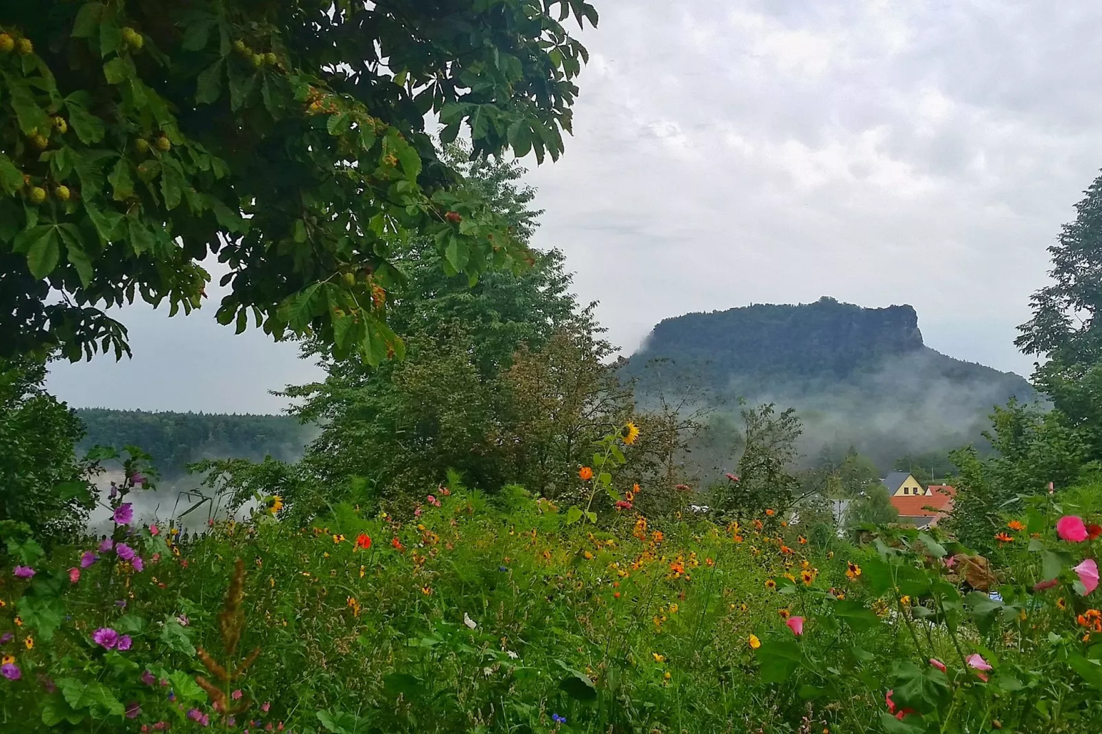 Pfaffenstein-View summer