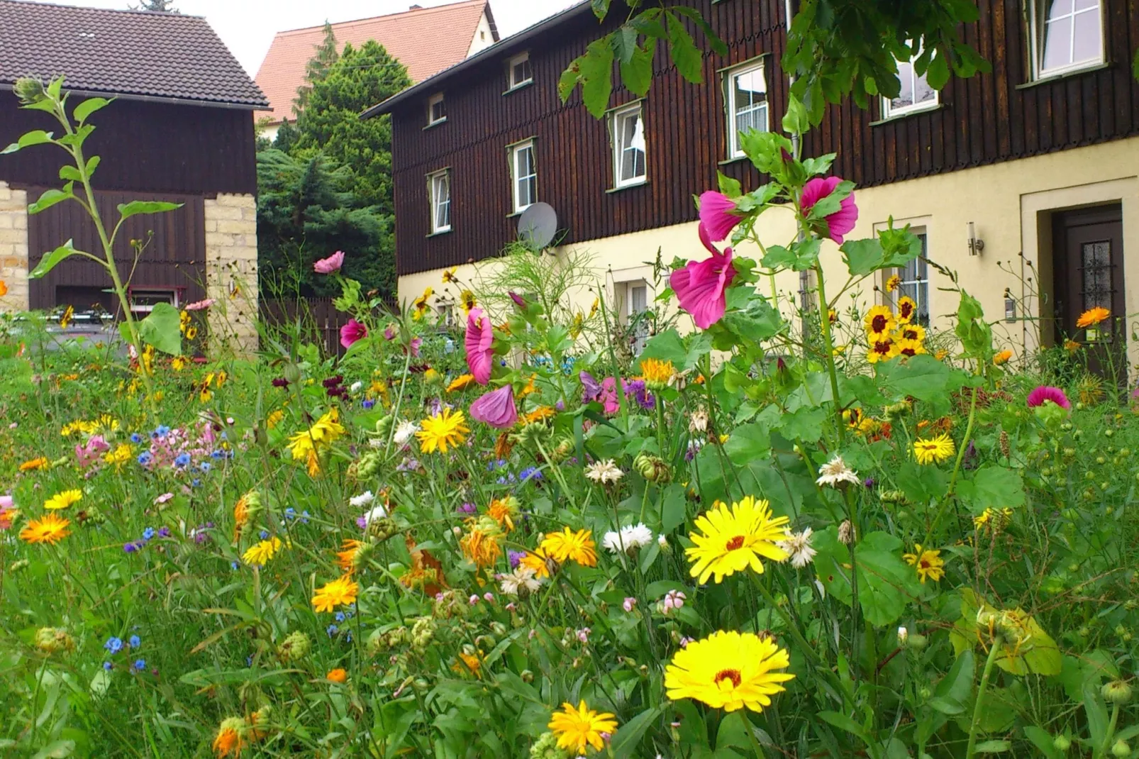 Pfaffenstein-Exterior summer