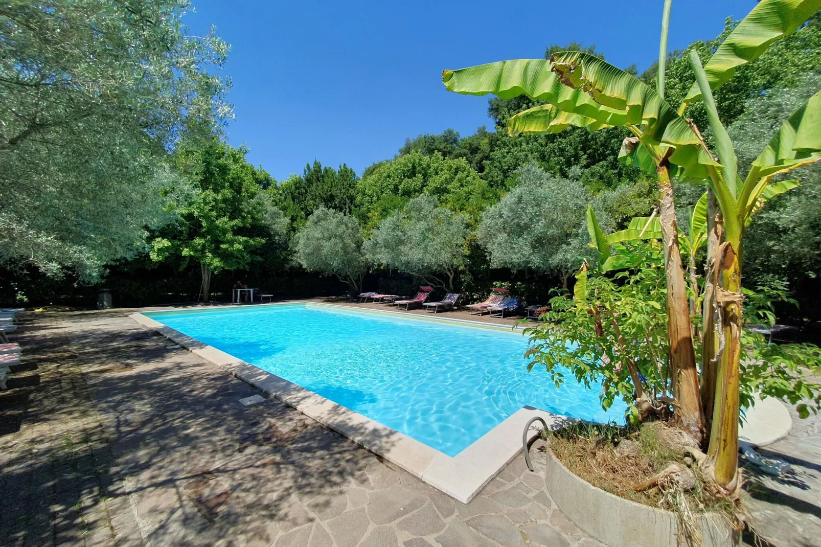 Chalet 4 pax con Bagno-Schwimmbad