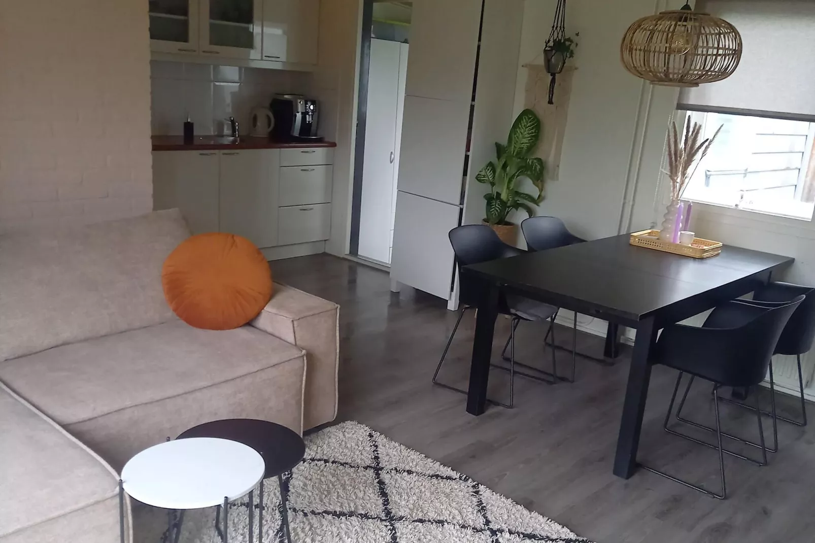 Yné lijte 55-Living room