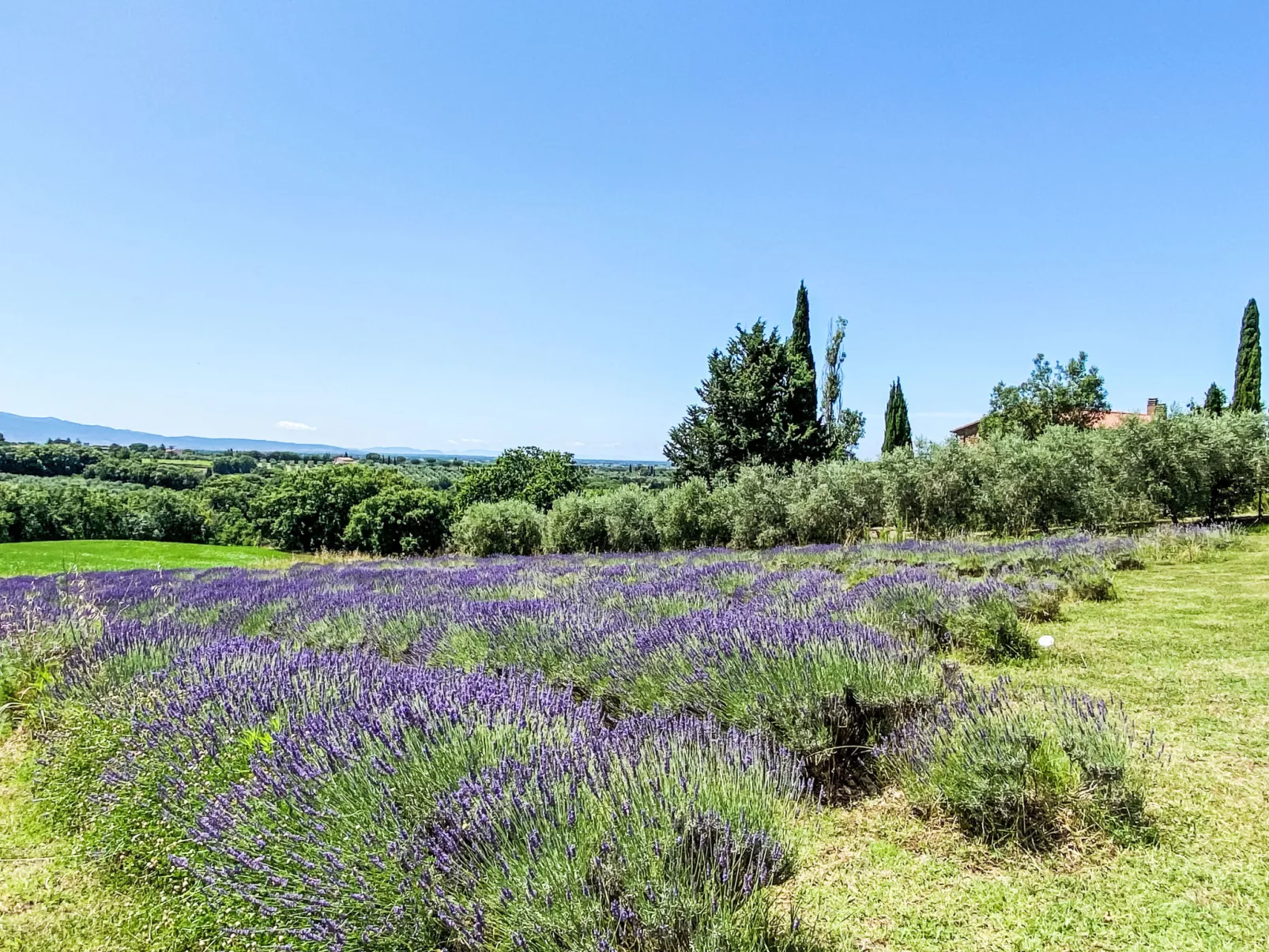 Tramontana-Dehors