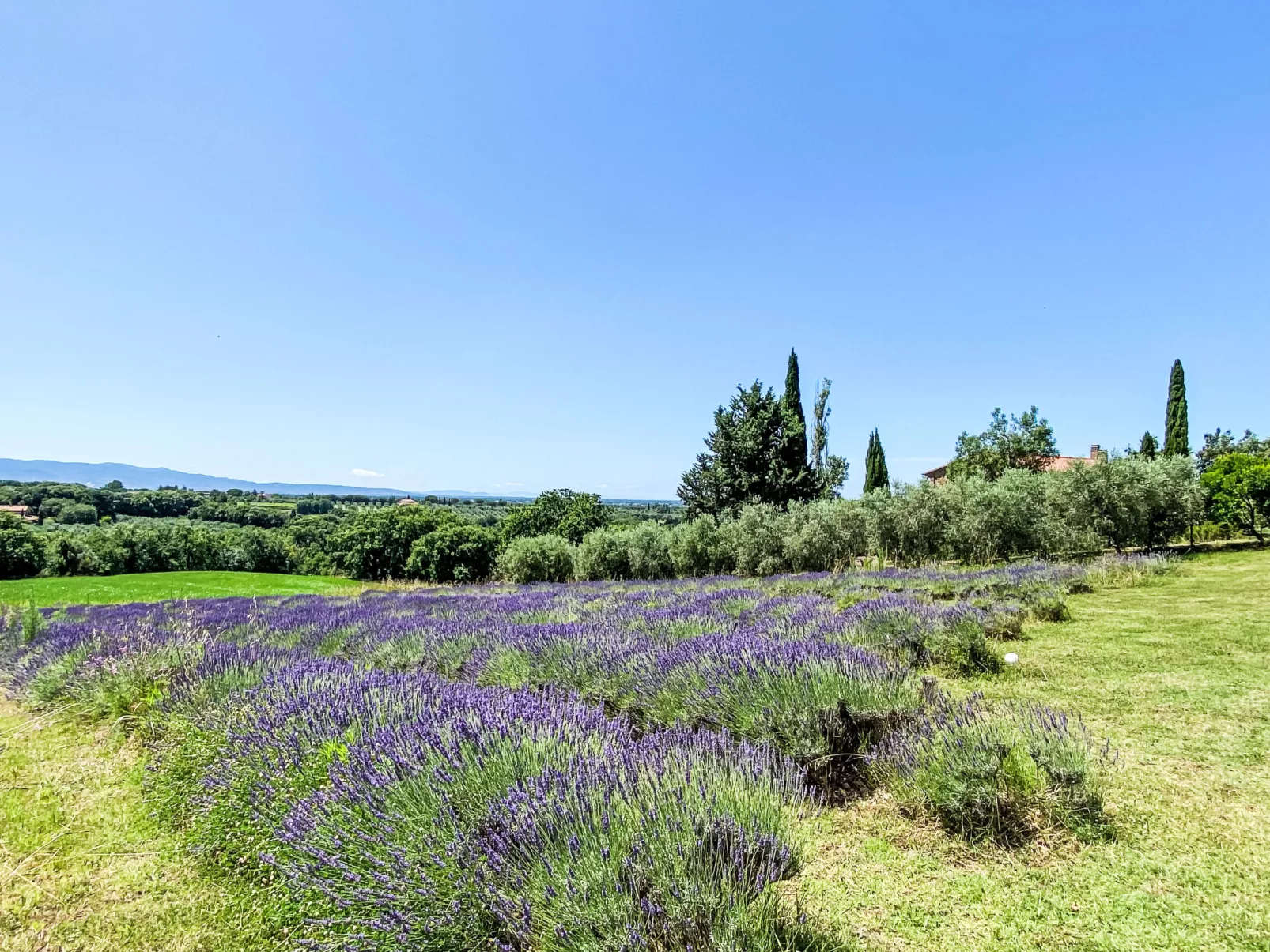 Tramontana-Dehors