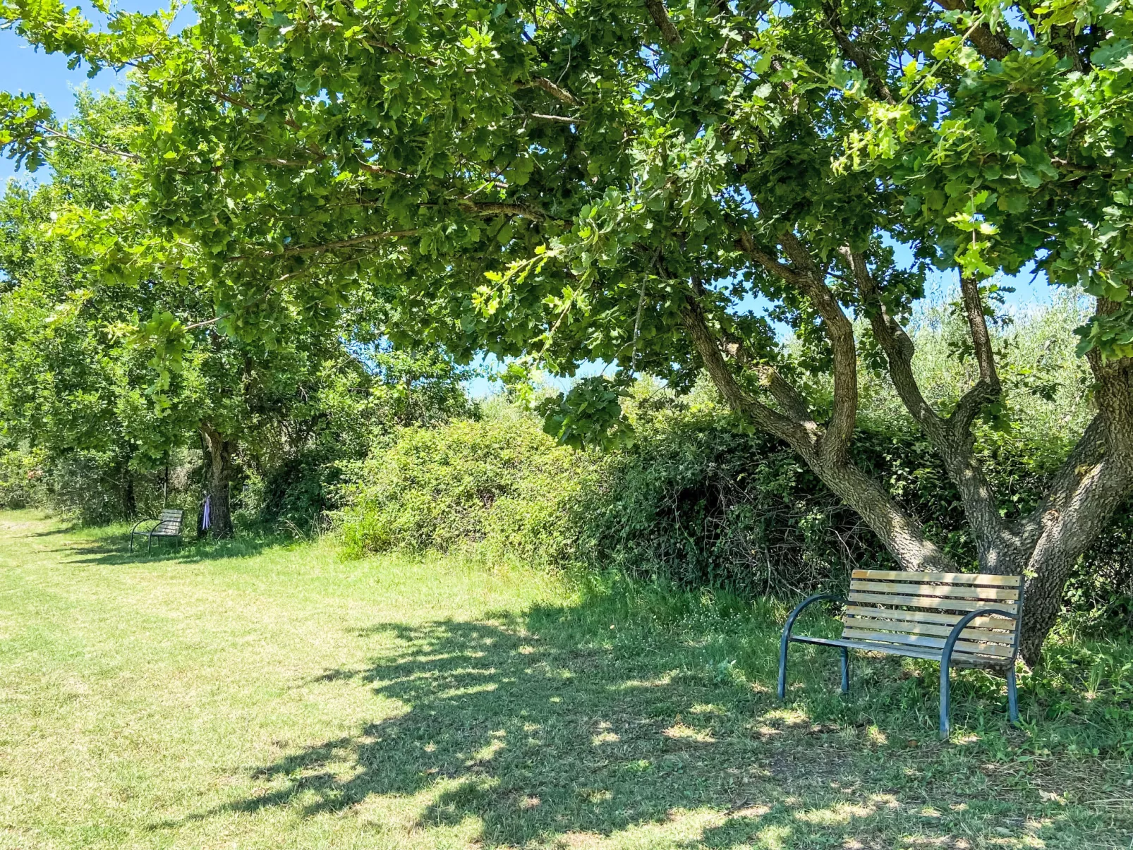 Tramontana-Dehors