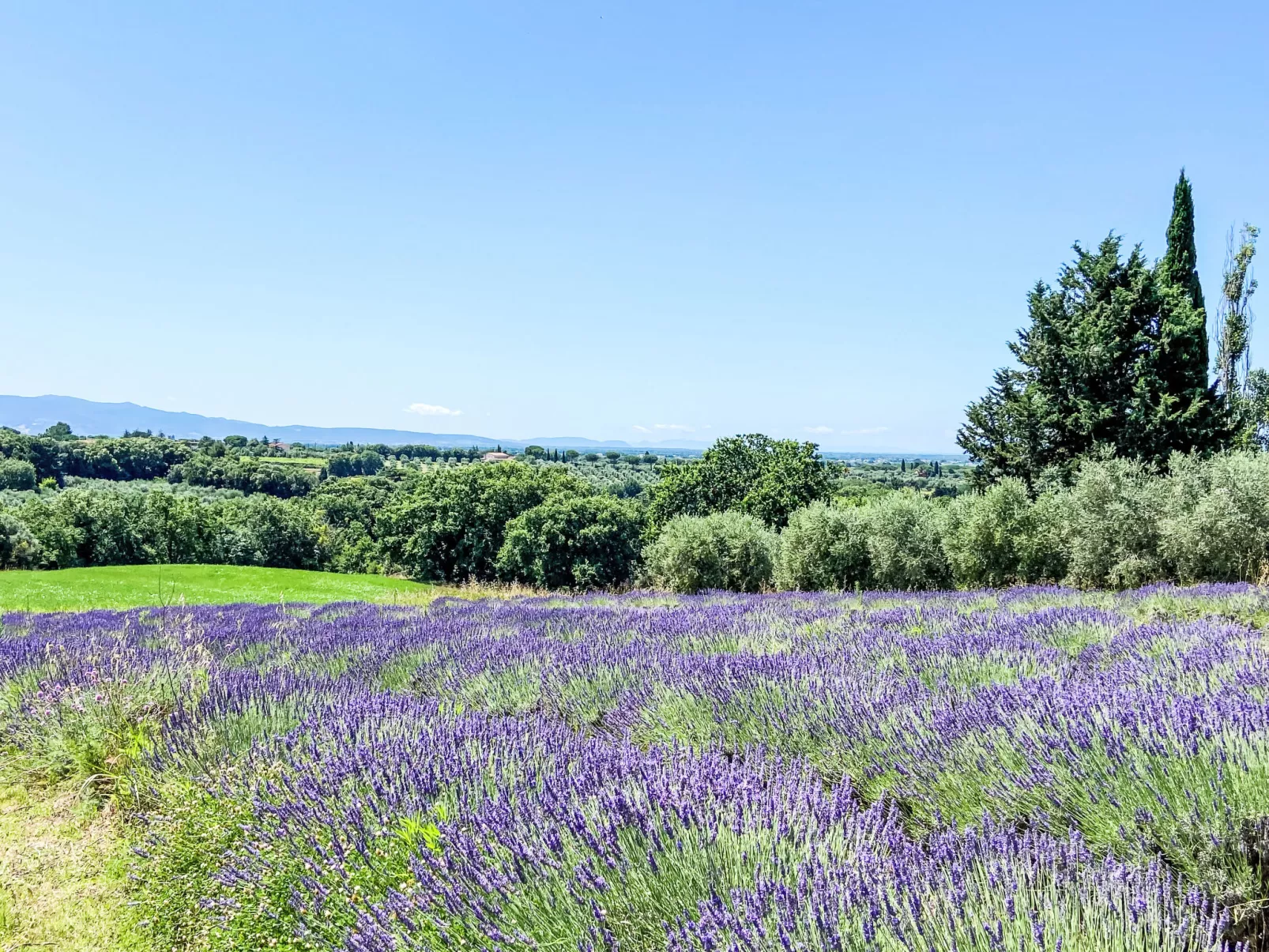 Tramontana-Dehors