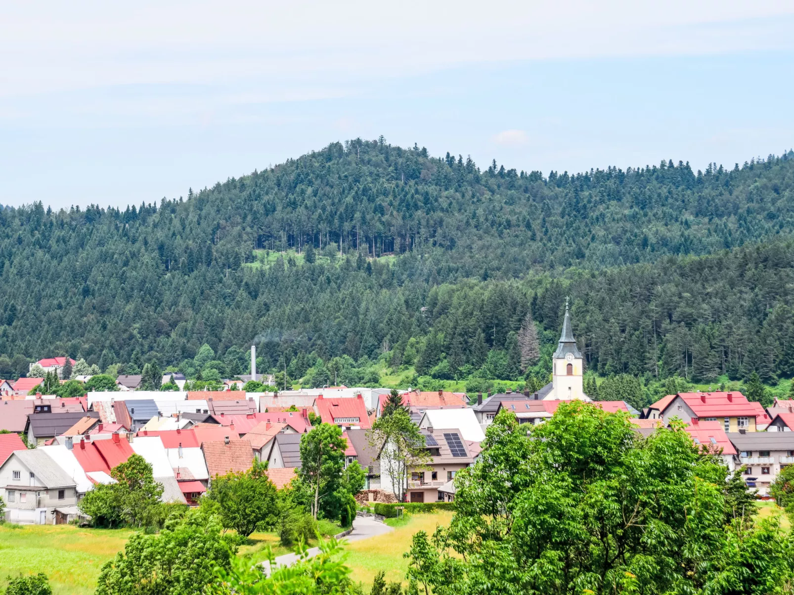 Vuk-Area
