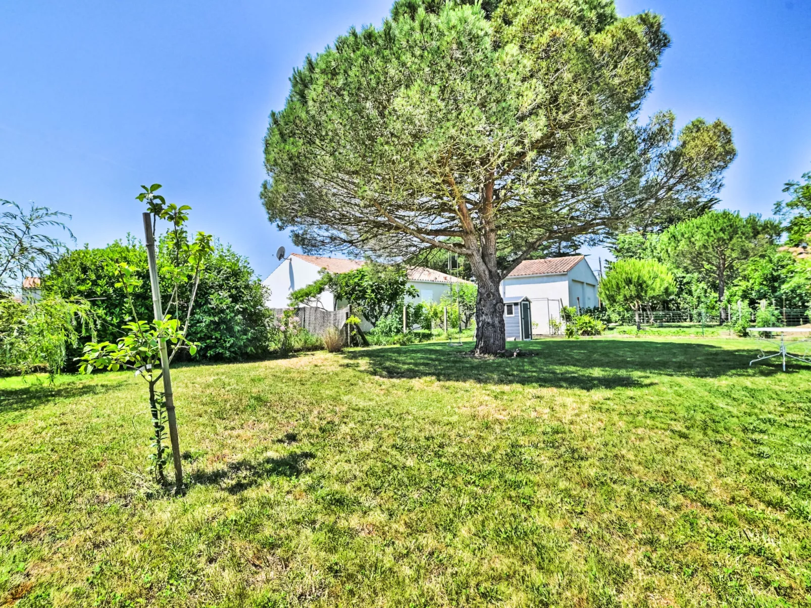 Le Mimosa-Outside