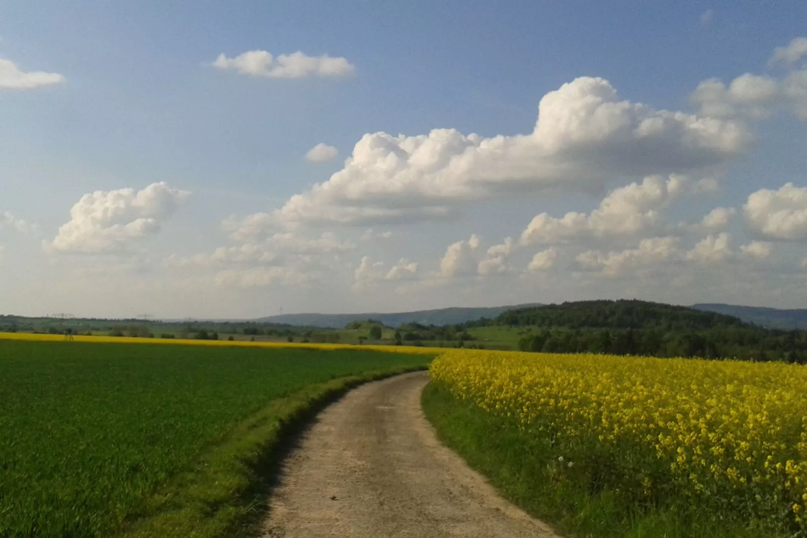 Sächsische Schweiz-Areas summer 5km