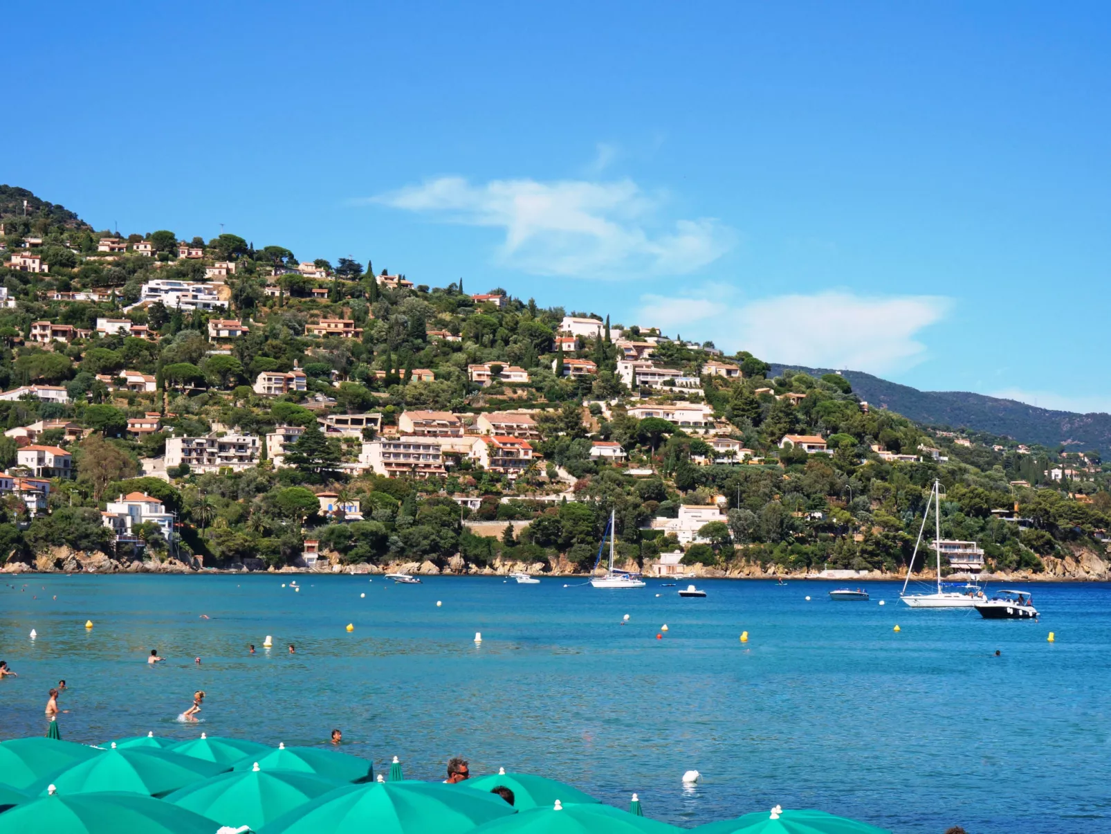 Les Horizons-Area