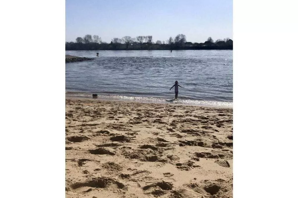52019-Not tagged