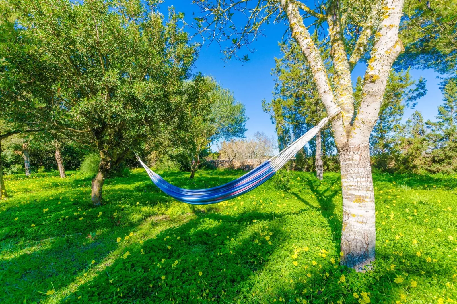 Can Capulla 8-Exterior summer