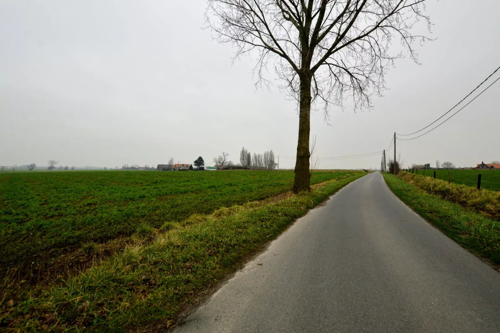 De Korte Lindehoeve-Areas summer 1km