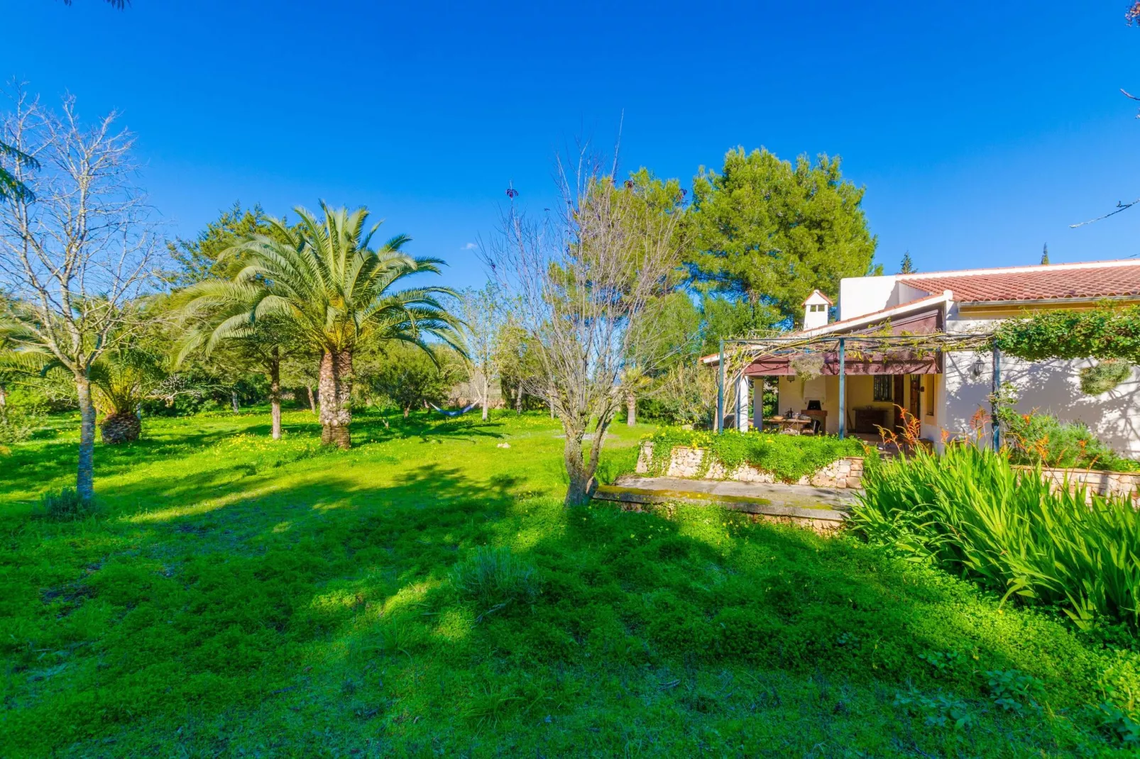 Can Capulla 8-Exterior summer
