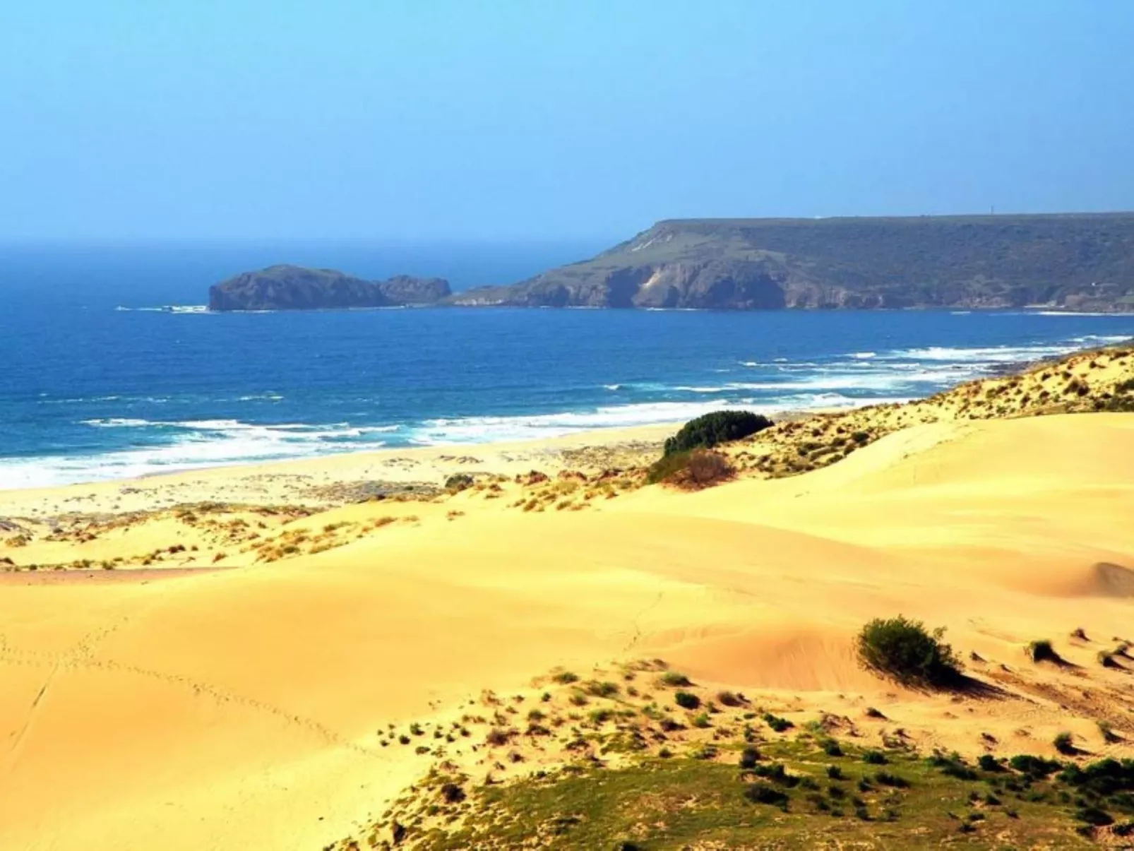 Dune-Dehors