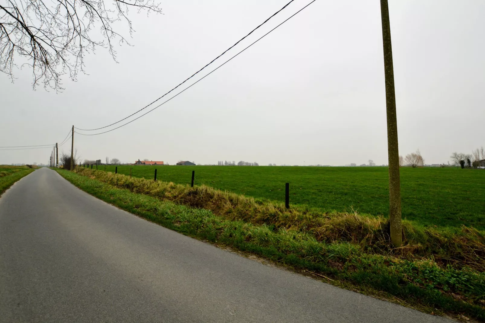 De Korte Lindehoeve-View summer