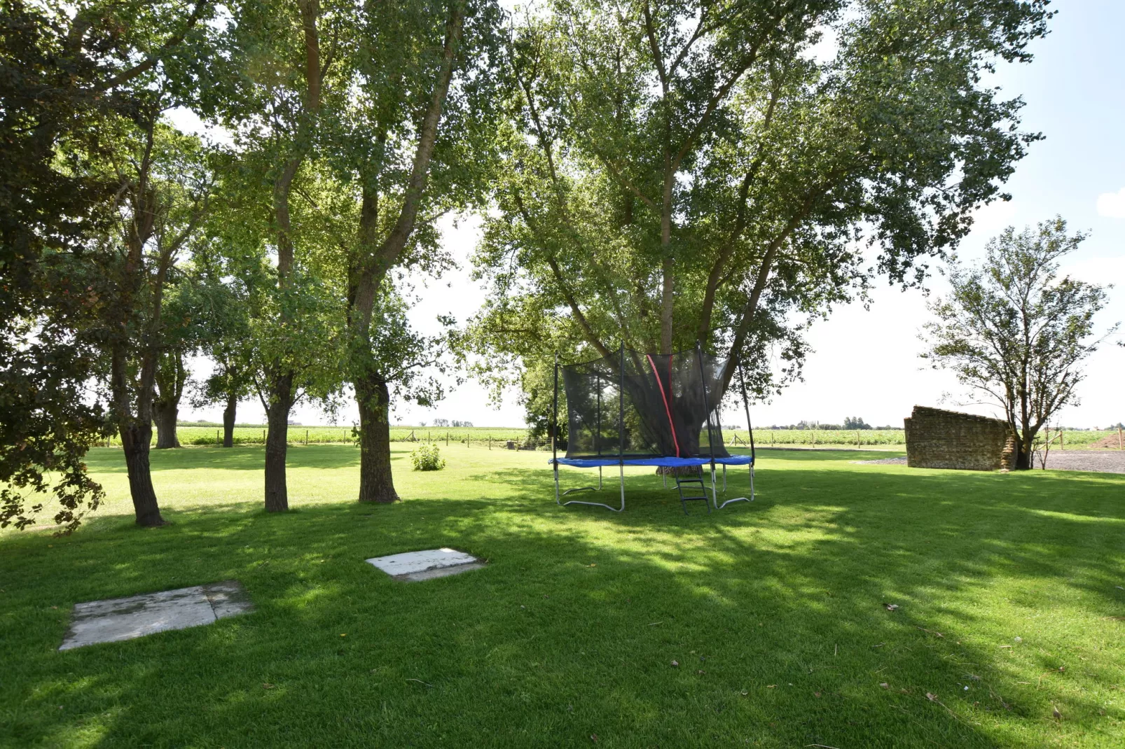 De Korte Lindehoeve-Gardens summer