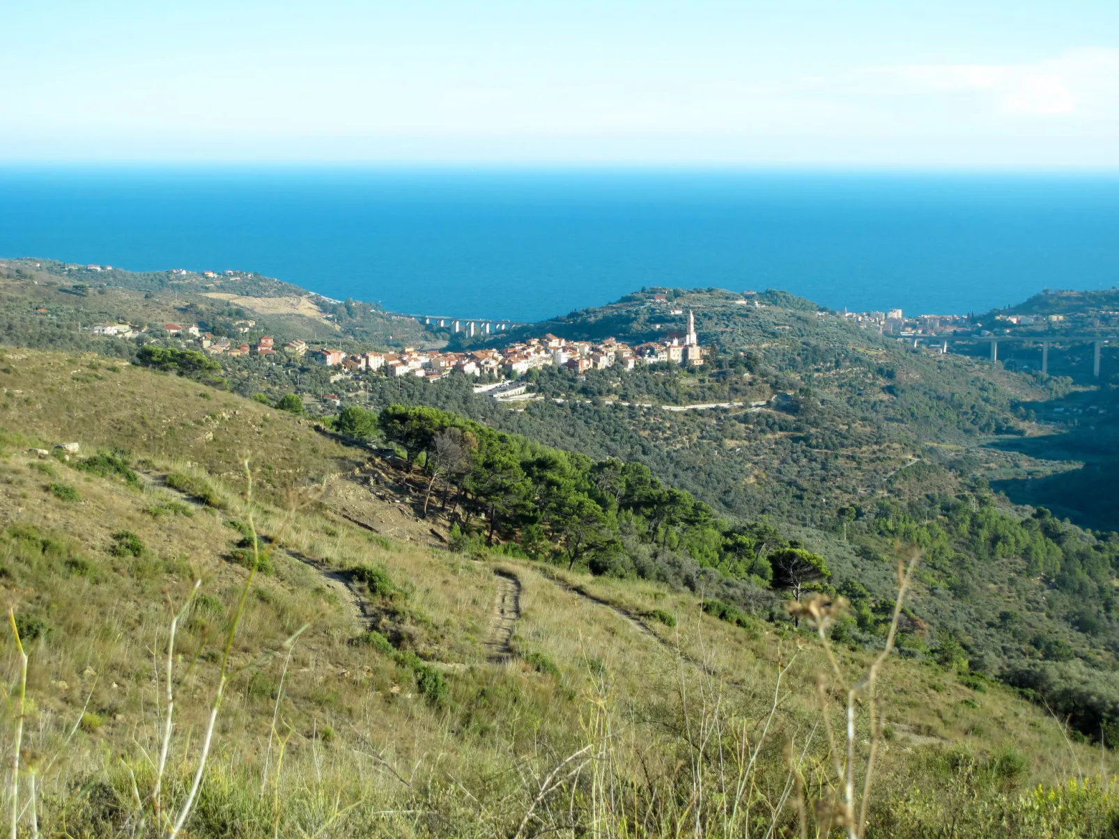 Peppina-Area