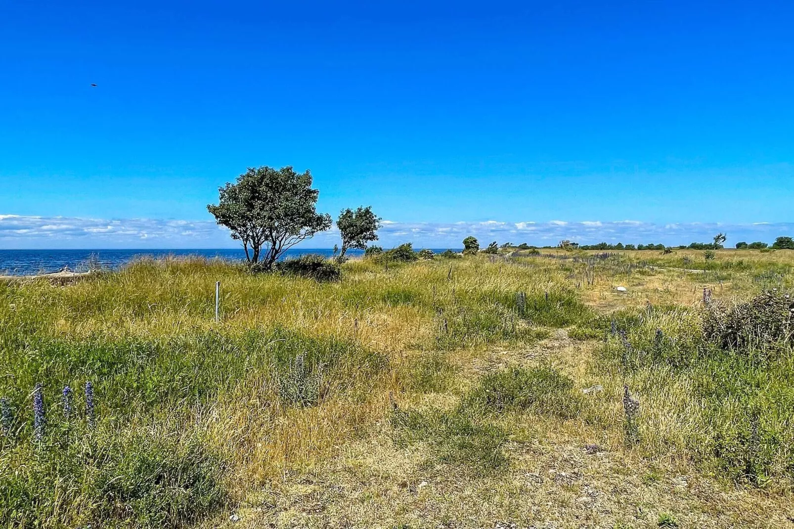 4 star holiday home in Degerhamn-Not tagged