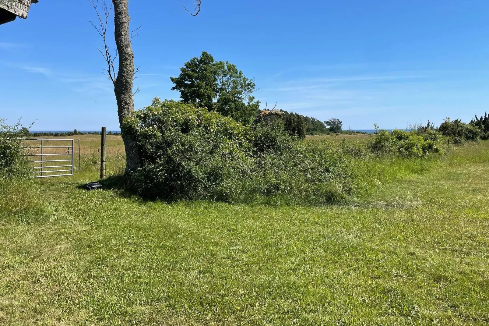 4 person holiday home in BORGHOLM-Outdoor