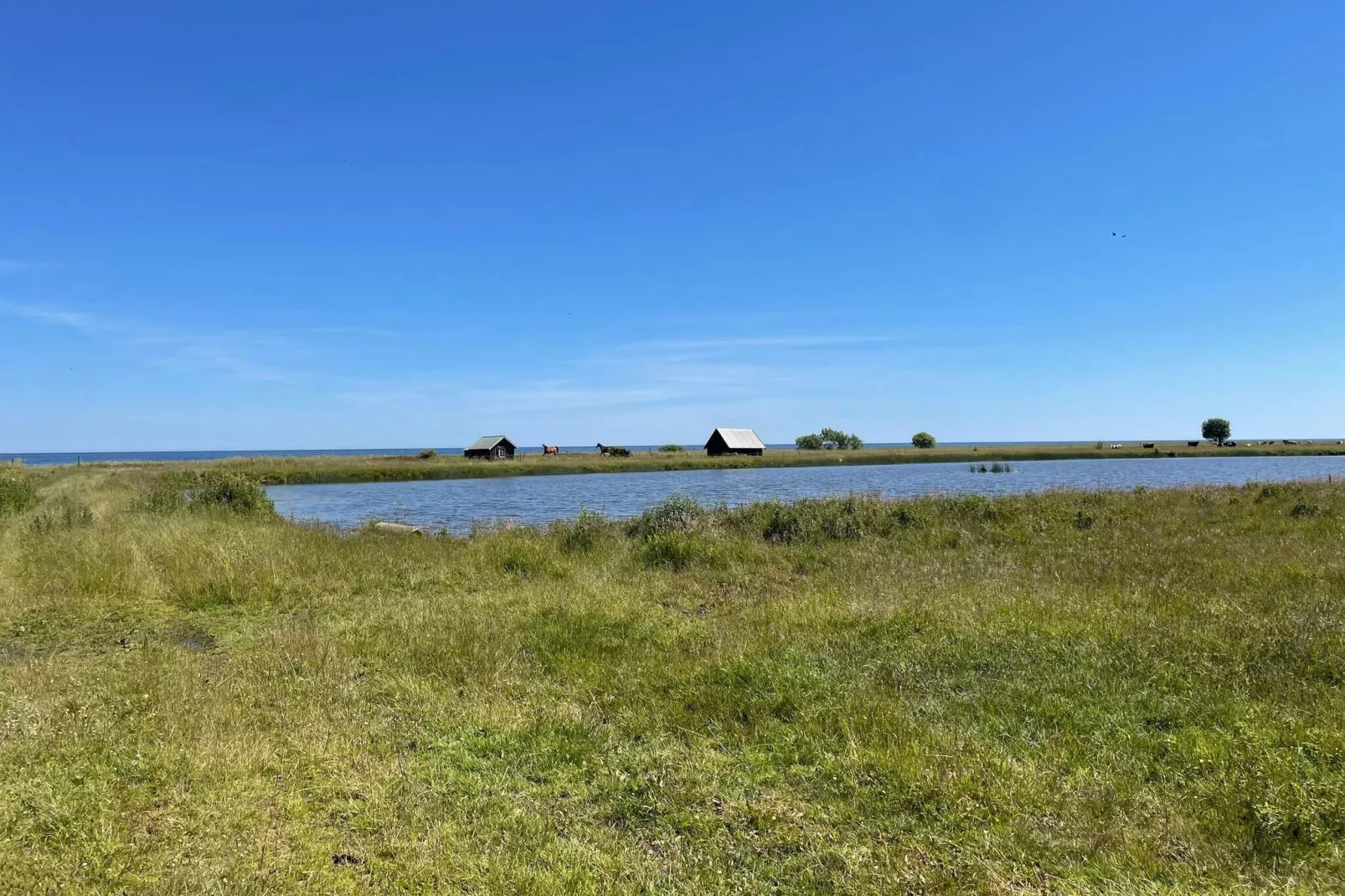 4 person holiday home in BORGHOLM-Not tagged