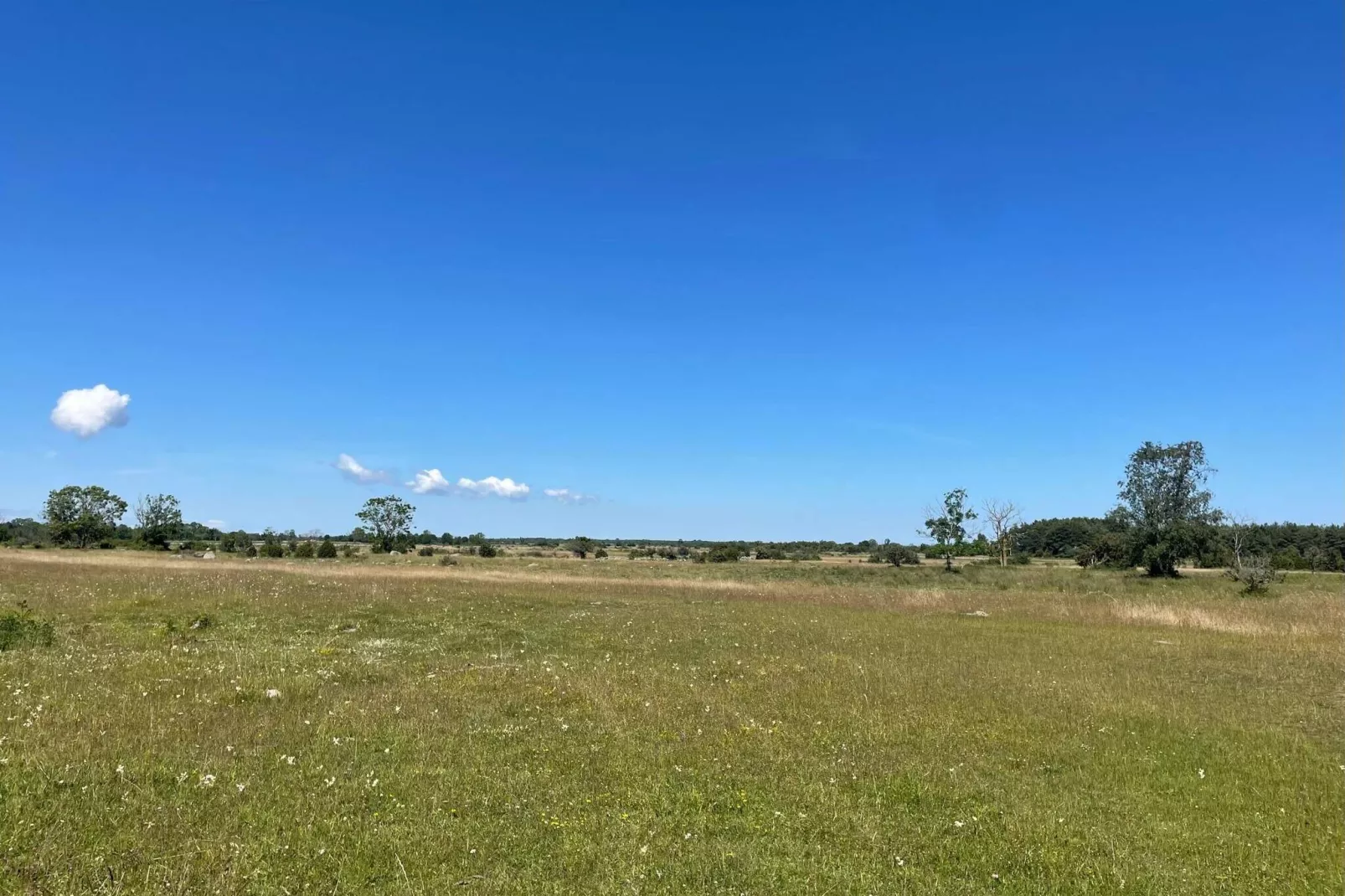 4 person holiday home in BORGHOLM-Not tagged