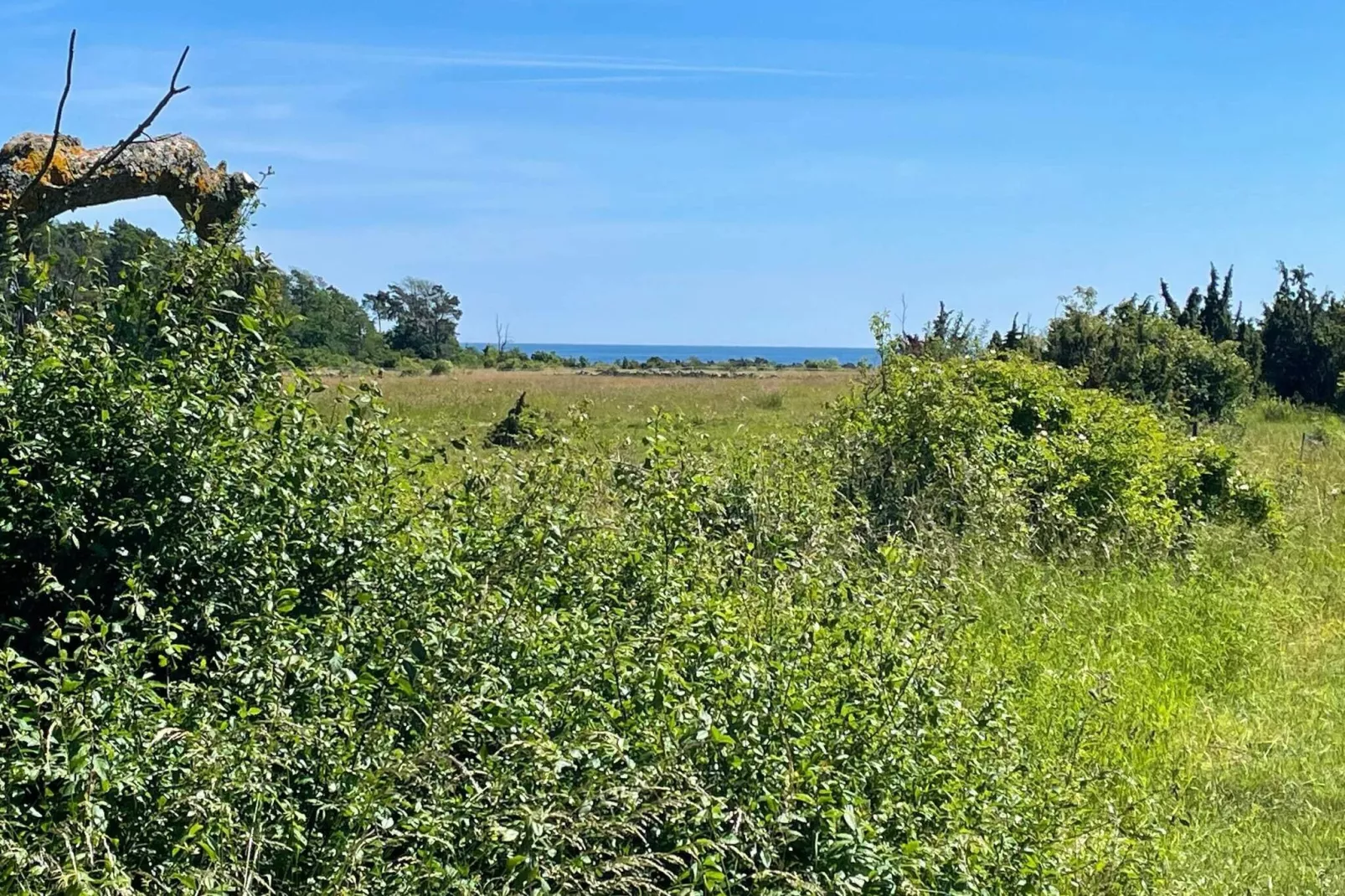 4 person holiday home in BORGHOLM