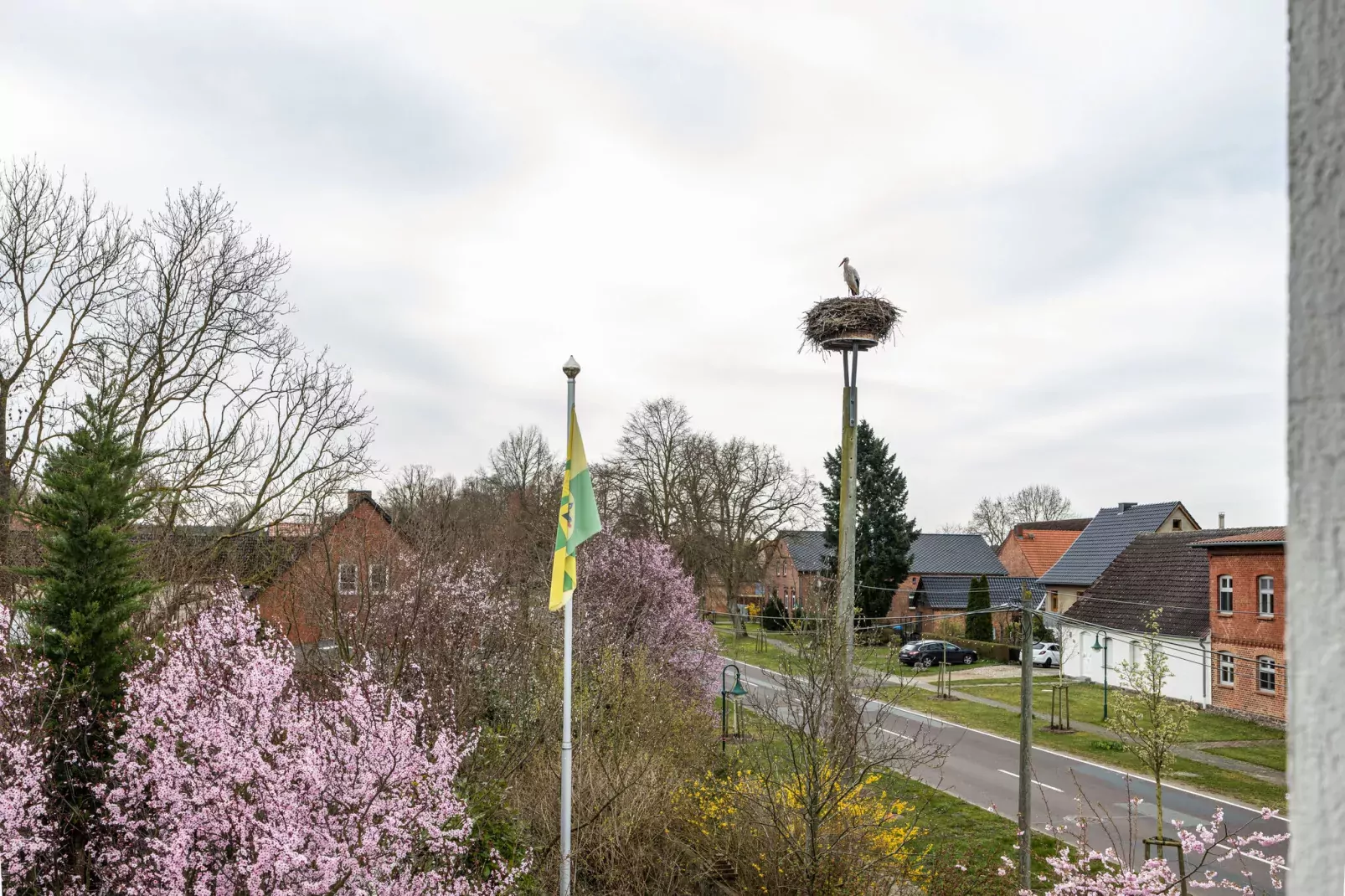 Studio 6 - Storchenhorst 4 Personen-View summer