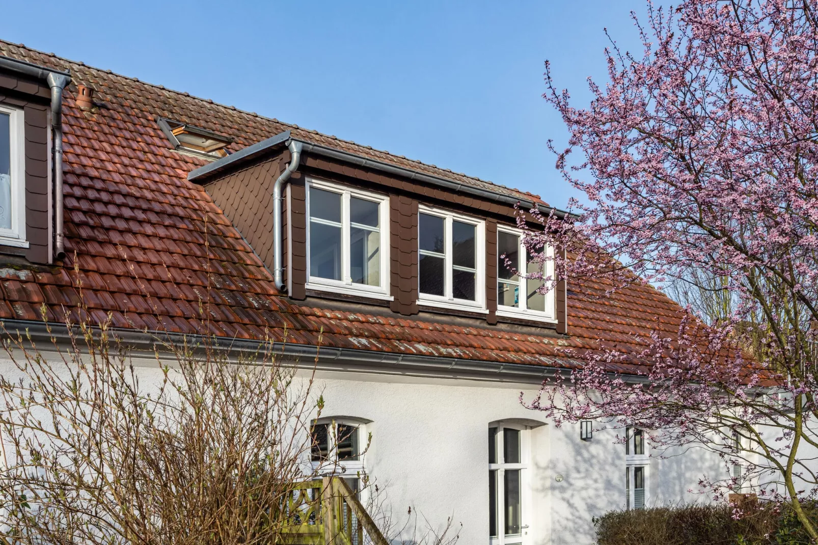 Studio 7 - Kranichhorst 2 Personen-Exterior summer