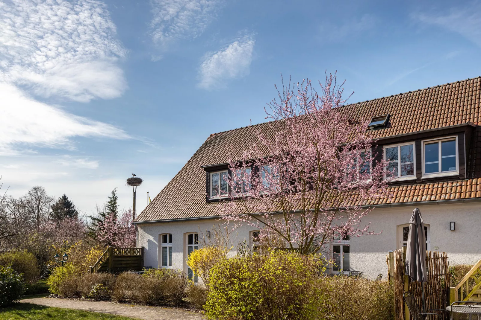 Studio 7 - Kranichhorst 2 Personen-Exterior summer