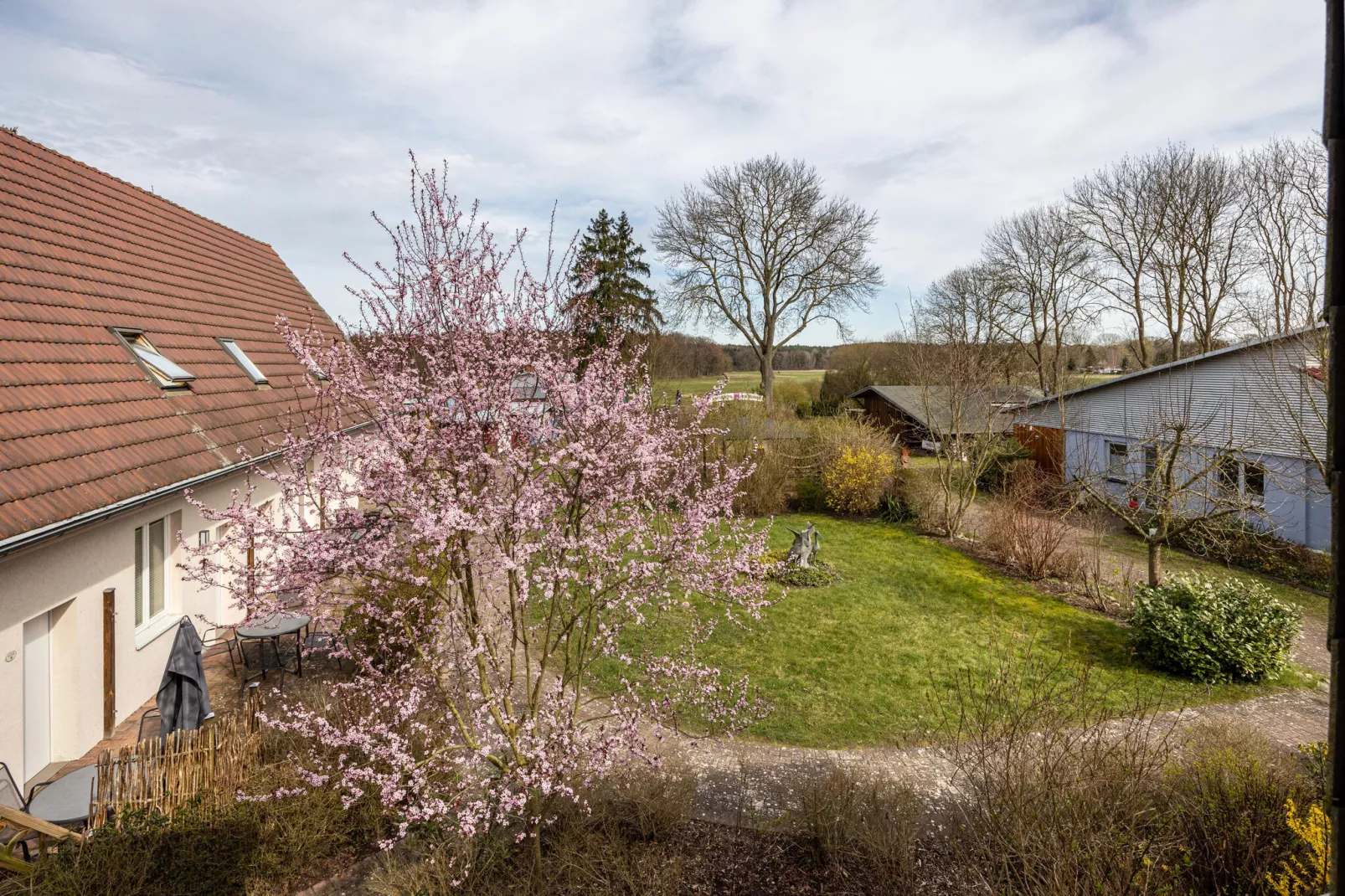 Studio 7 - Kranichhorst 2 Personen-View summer