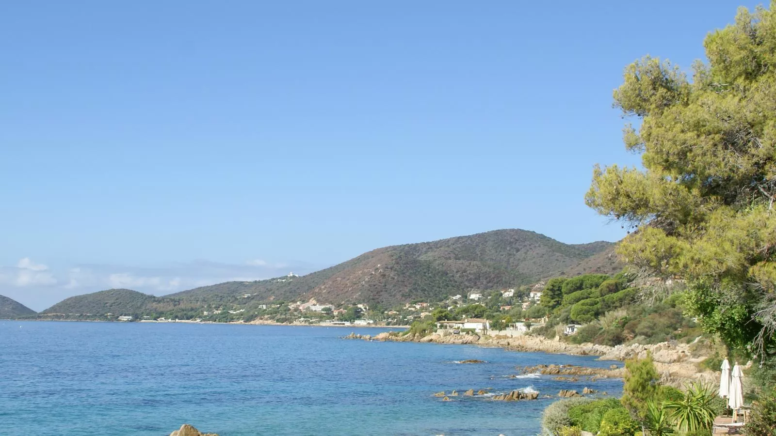 Lemon-Areas summer 20km