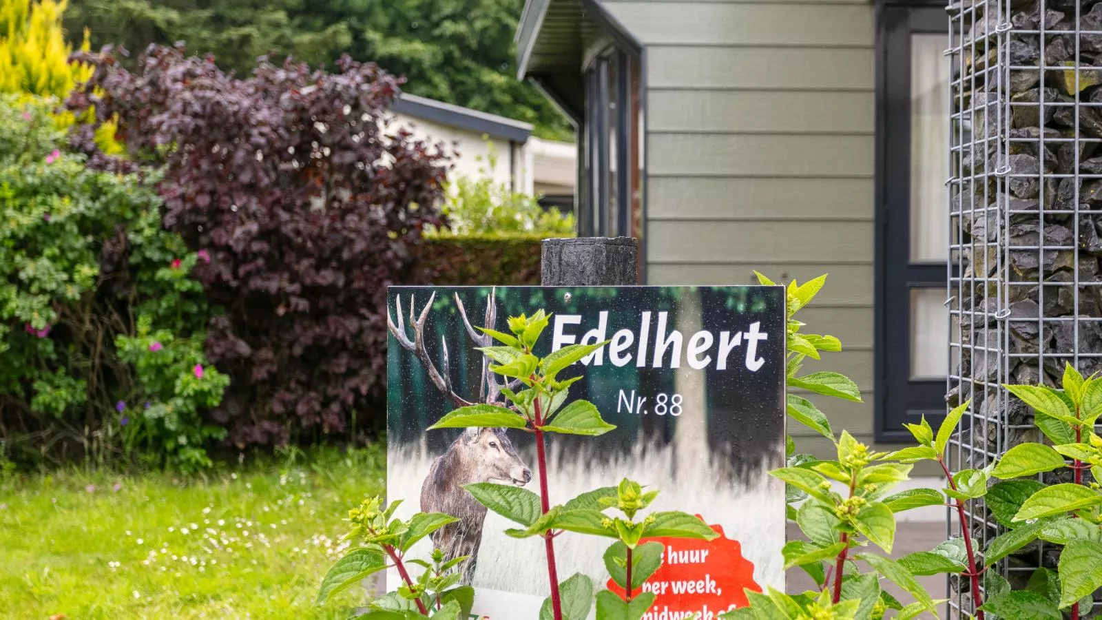 Edelhert-Outdoor