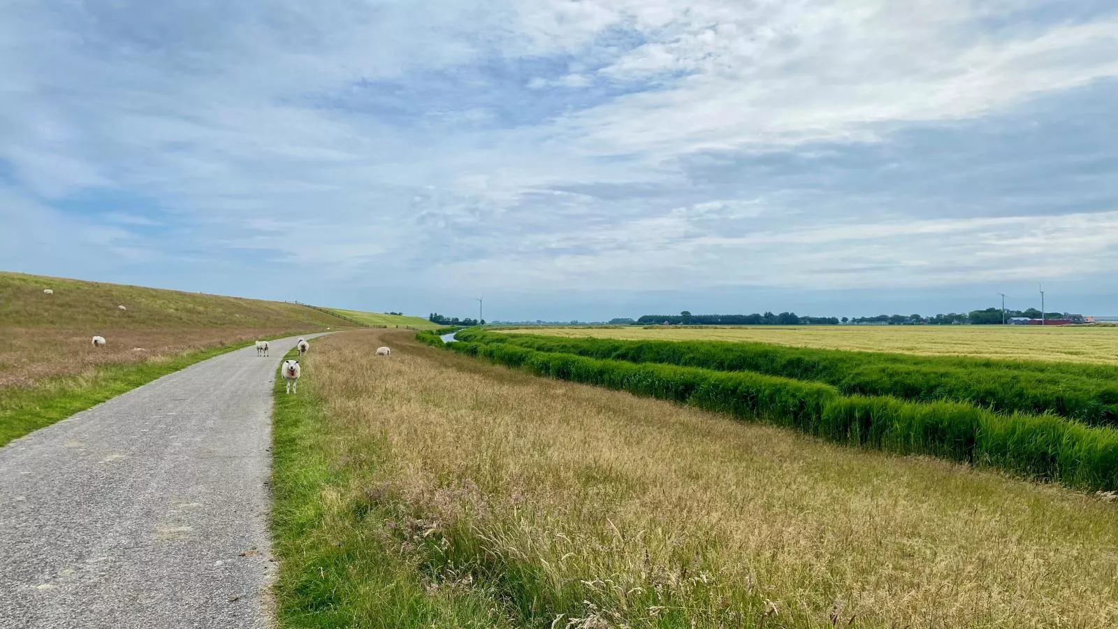 Huske 2-Gebiete Sommer 5 km