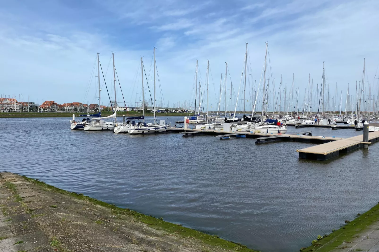 WSP7-Areas summer 20km