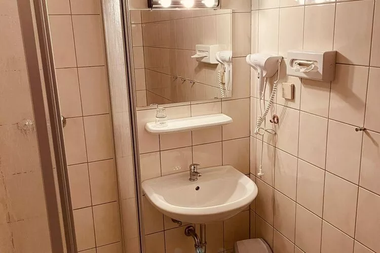 Ferienhaus Mein Bergblick 7 Pers-Bathroom