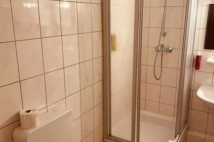 Ferienhaus Mein Bergblick 7 Pers-Bathroom