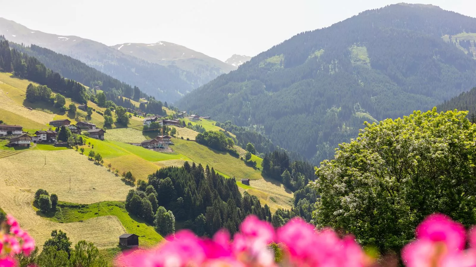 Zuhäusel-View summer