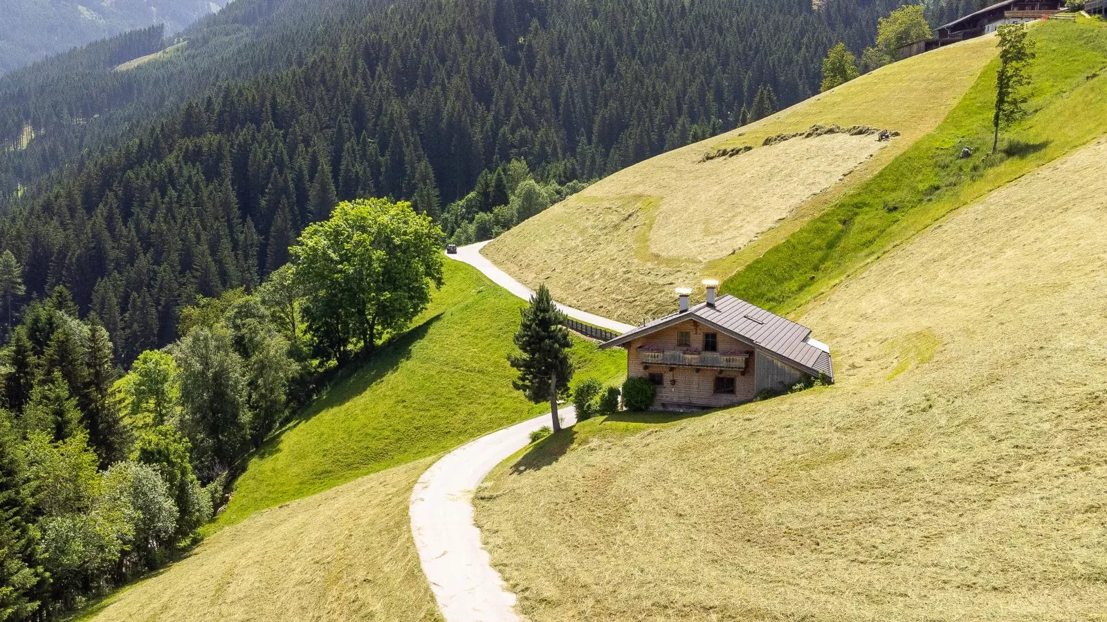 Zuhäusel-Exterior summer