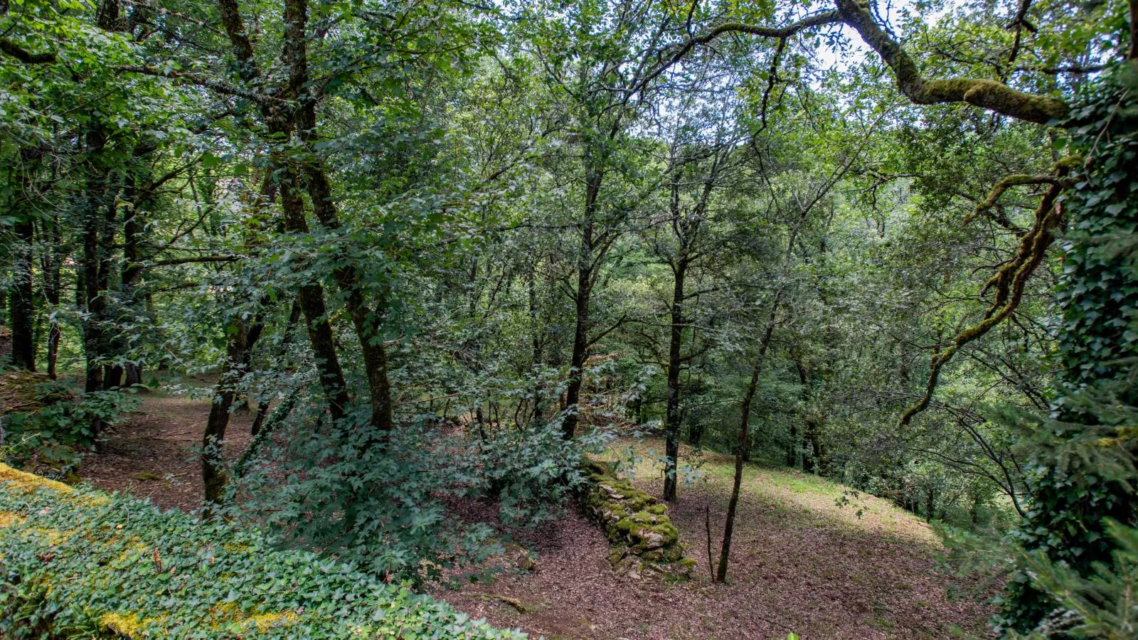 Gite Micouleaud-Areas summer 1km