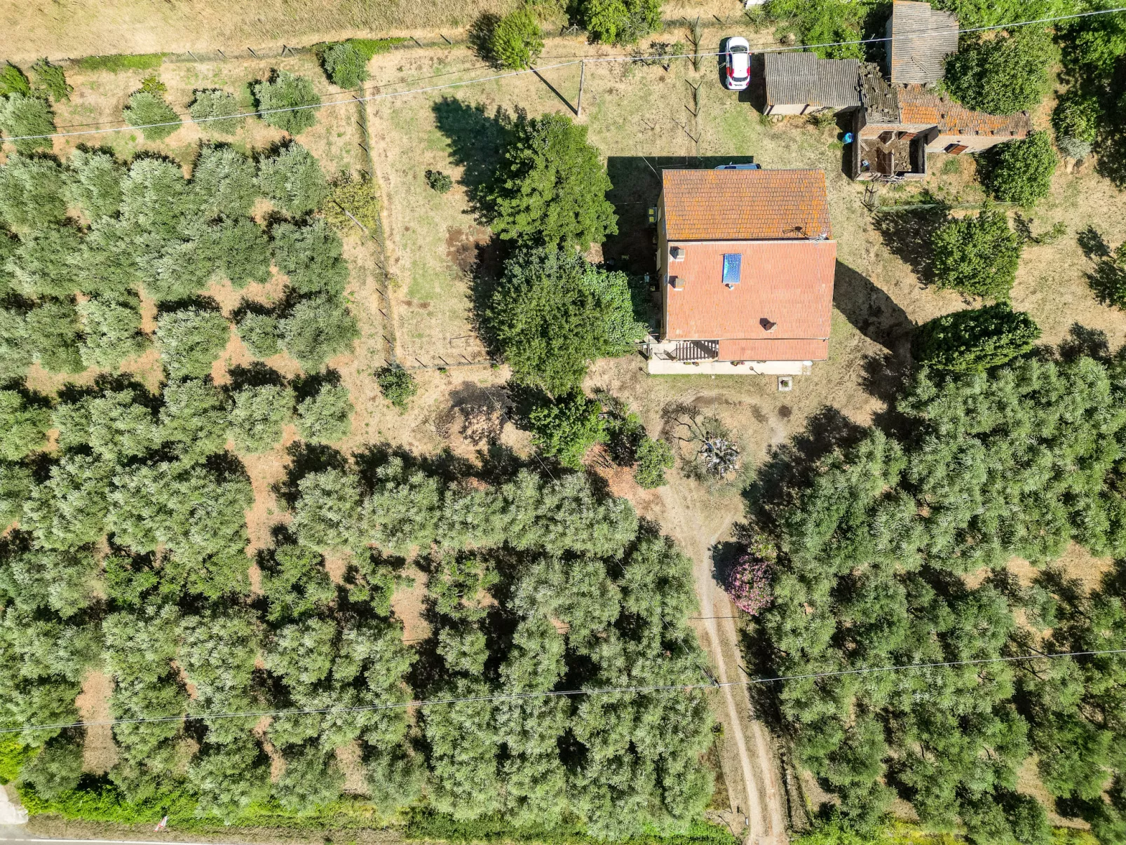 Podere Cavaceppi-Outside