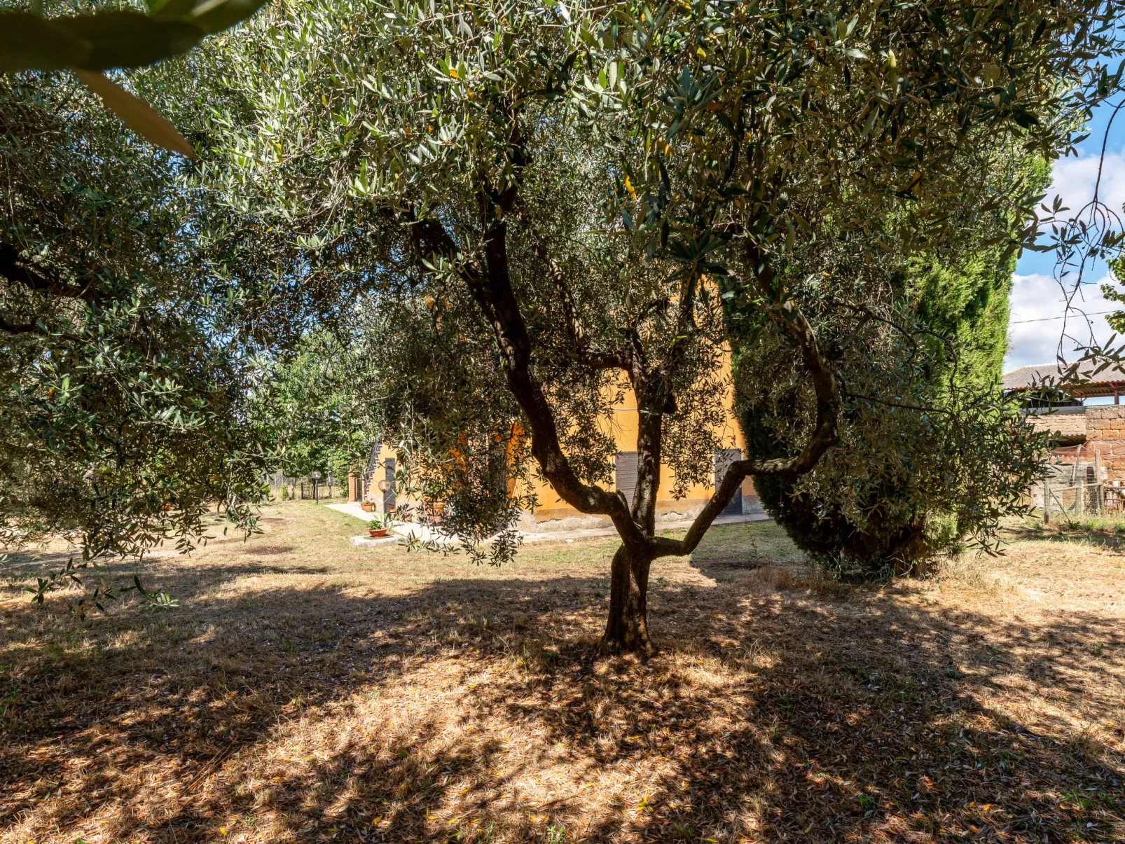 Podere Cavaceppi-Outside