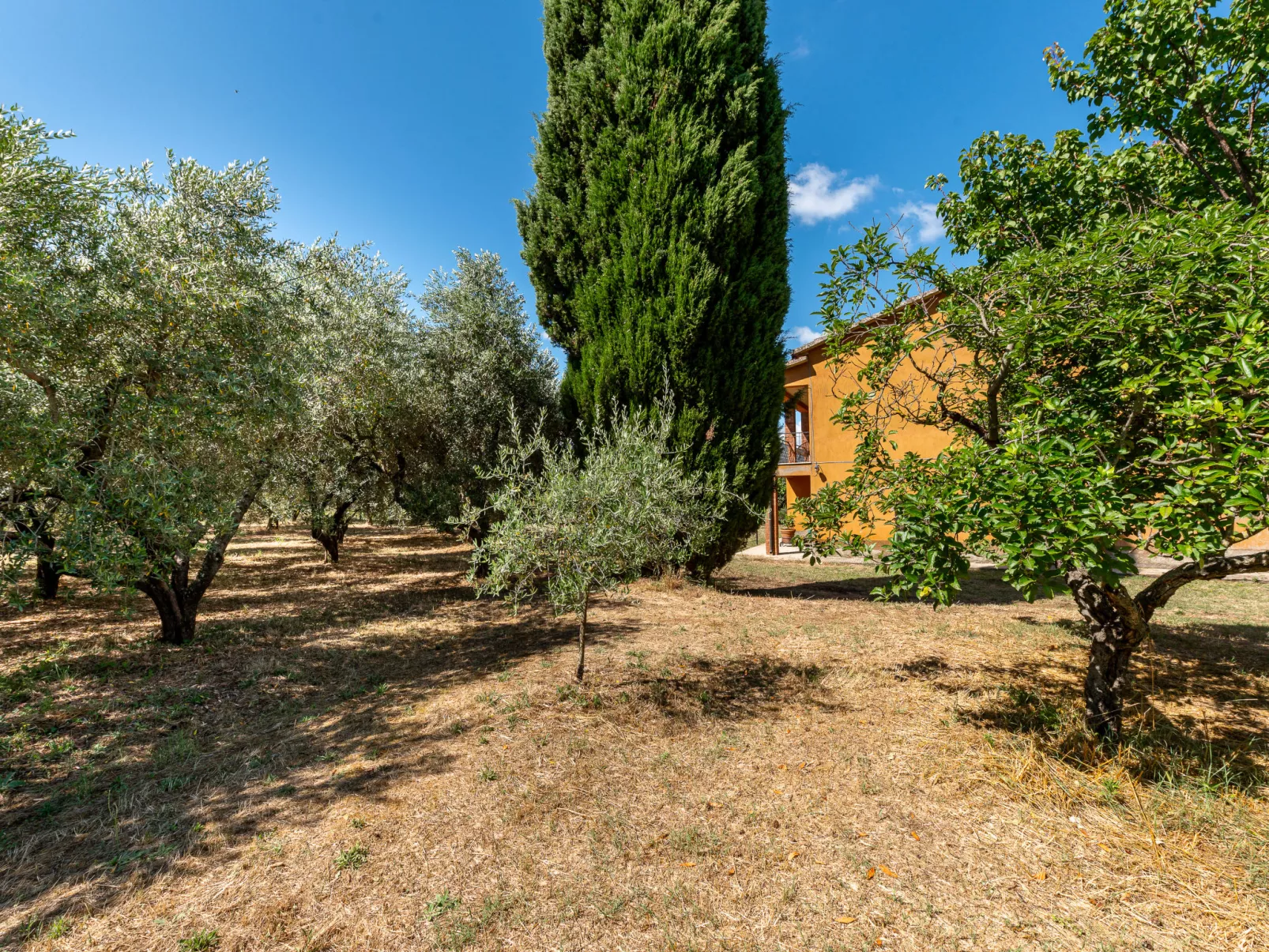 Podere Cavaceppi-Outside